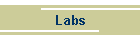 Labs